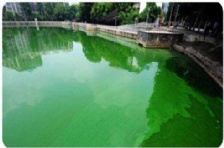 废水含磷的危害及处理方法