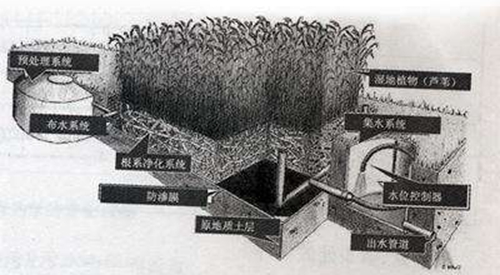 人工湿地生活污水处理技术分析