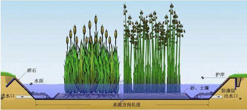 人工湿地生活污水处理技术分析