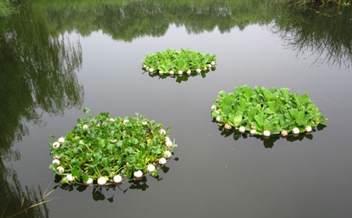 生态浮岛