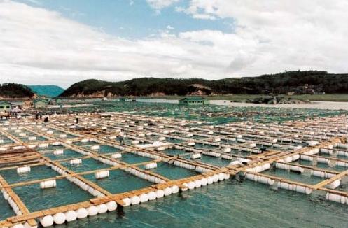  养殖废水污染监测