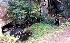  巡查人员深入探“敌情”