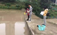  一图一故事丨“冷酷又火热”的双面伊人