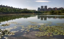  合肥市大蜀山森林公园南湖：综合治理，再现美丽湖景