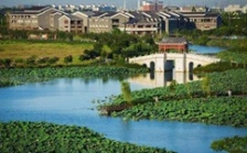  环保促发展系列报道（2）｜从“优环境”到“强产业”再到“惠民生” 东莞市麻涌镇走通绿色发展“闭环”