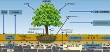  什么叫总有机碳TOC?