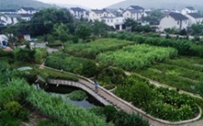  苏州积极推进农村生活污水治理