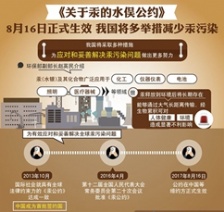  关于汞的水俣公约