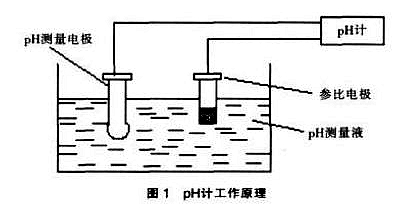 PH电极