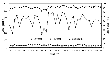 什么是COD指标及其重要性