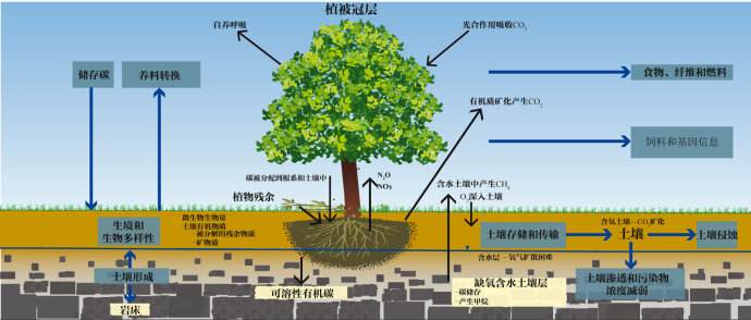 总有机碳TOC